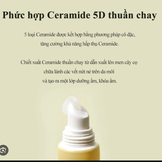 Son duỡng môi Torriden Solid In Ceramide Lip Essence 11ml (thuần chay)