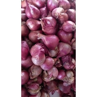 1kg hành tím giá rẻ hành tím lý sơn