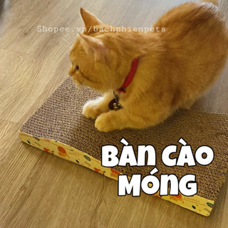 BÀN CÀO MÓNG CHO MÈO CÁC LOẠI ( TẶNG KÈM CỎ )