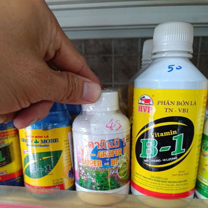super b1 grofer b1 thailand 100ml ra rễ mạnh, tạo rễ mập, nảy chồi nhiều mập xanh tốt,phát hoa dài l