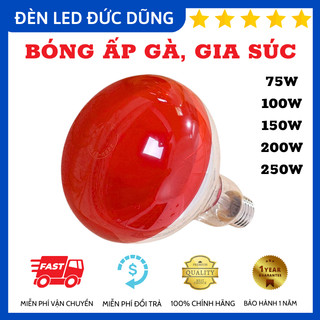 Bóng Đèn Hồng Ngoại Úm Trứng Gà, Sưởi Ấm Gia Súc 75W 100W 150W 200W 250W