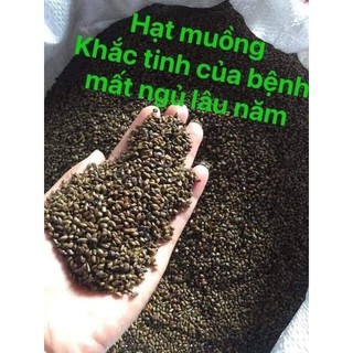 Hạt muồng ta(Thảo quyết minh)