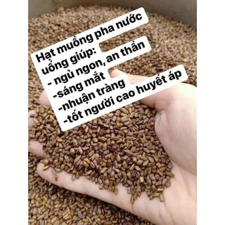 Hạt muồng ta(Thảo quyết minh)