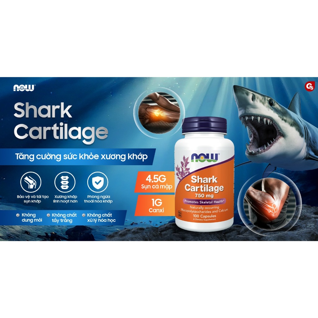 Viên sụn vi cá mập của Mỹ Now Shark Cartilage (100 viên) hỗ trợ xương, sụn khớp chắc khỏe