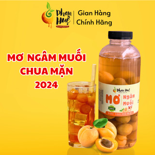 Mơ ngâm muối chua mặn Phan Huệ hộp 800gr 1kg giải nhiệt giảm ho tốt tiêu hóa đặc sản Hà Nội