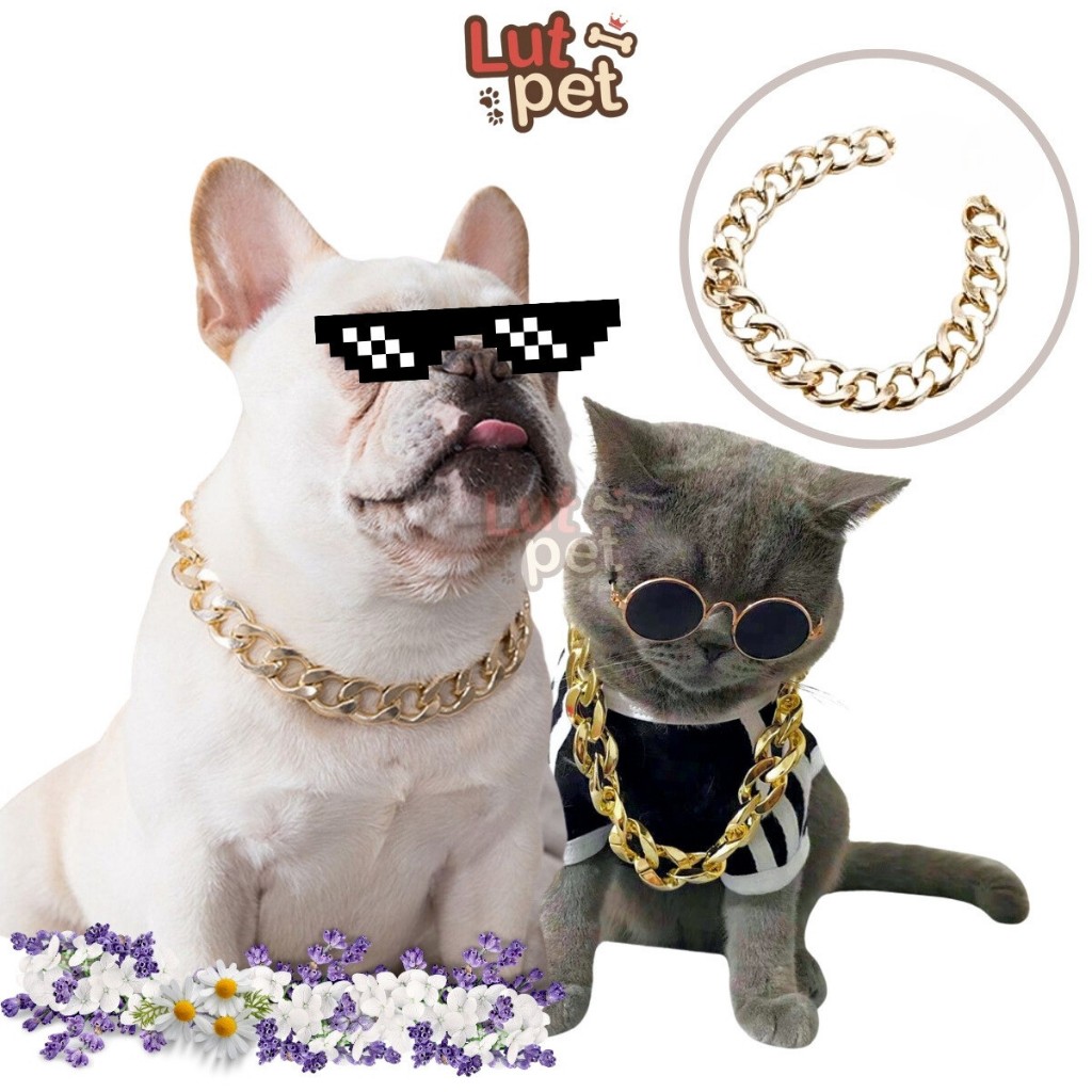Dây chuyền vàng, vòng cổ, xích mạ vàng cho chó mèo - thời trang, phụ kiện thú cưng - lutpet