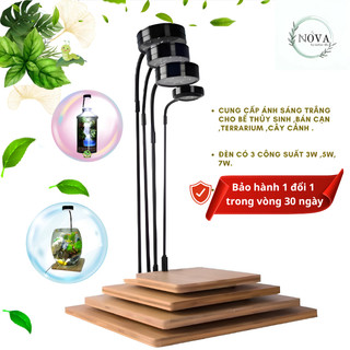 Đèn led đế gỗ thuỷ sinh terrarium ,bóng led ánh sáng trắng công suất 3W ,5W ,7W.