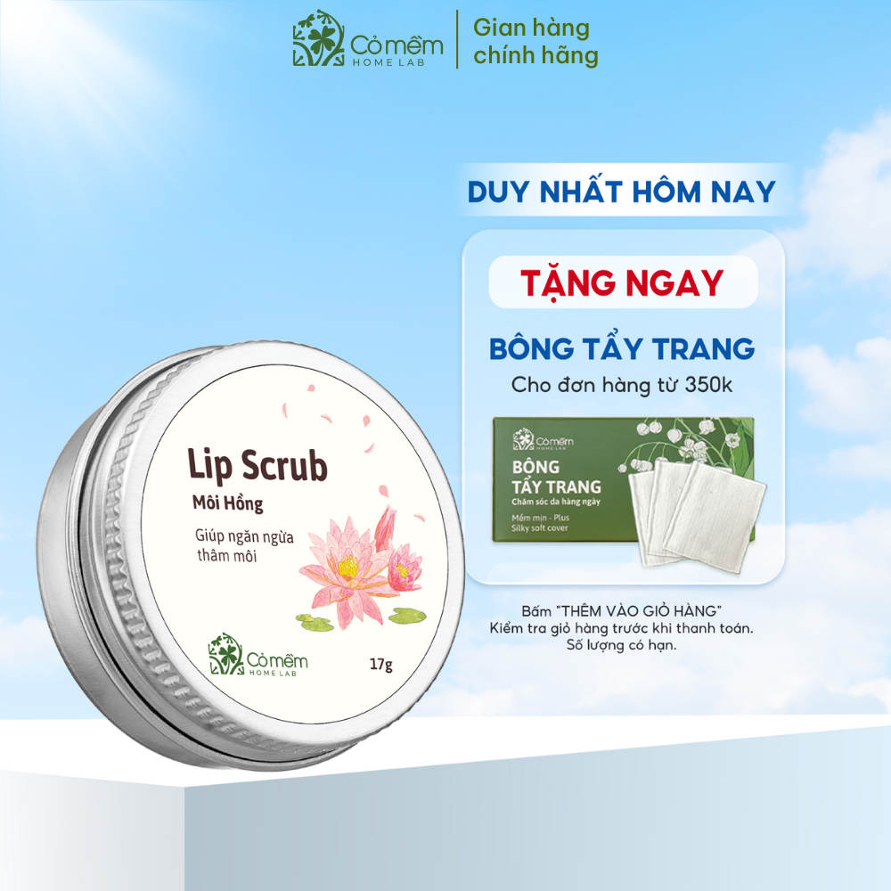 Tẩy da chết môi Lip Scrub Môi Hồng Giảm Thâm Dưỡng Ẩm Cho Môi Cỏ Mềm 18g