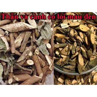 Cây an xoa tím 1kg - Hỗ trợ các vấn đề về gan như gan b,c, men gan cao, gan nhiểm mở