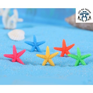 Tiểu cảnh sao biển mini trang trí bể bán cạn, bể cá cảnh