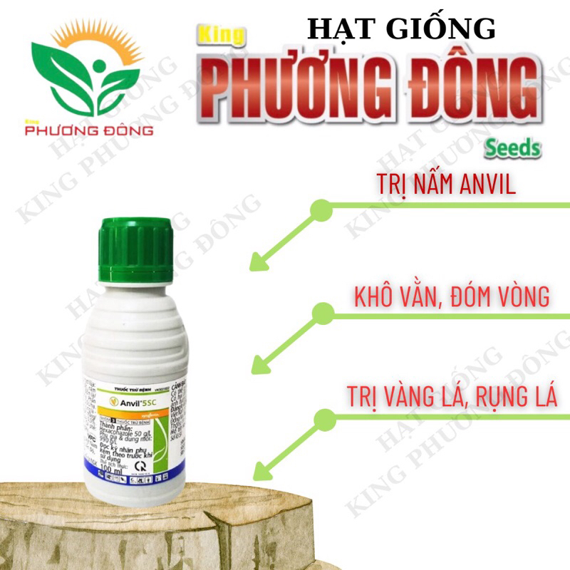 THUỐC TRỊ NẤM ANVIL 100ml