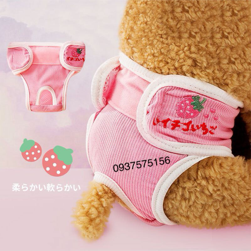 Quần Chip Dễ Mặc Cho Chó Mèo