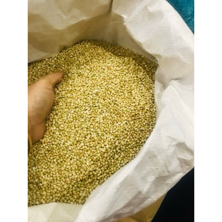 500g hạt kiều mạch (Buckwheat) hữu cơ Ucraina