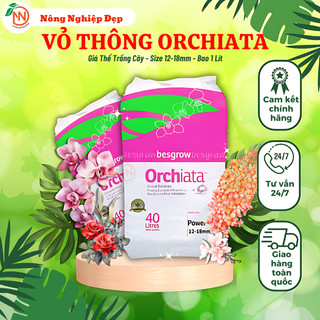 Vỏ thông orchiata nhập newziland - size 12-18mm - 1 lít
