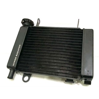 Có thể sửa đổi bộ tản nhiệt lớn cho Winner RS150 RSX150 Sonic 150