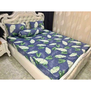 Bộ Ga Thun Hàn Quốc Đa Dạng Mẫu (Ib Shop Để Lựa Mẫu)