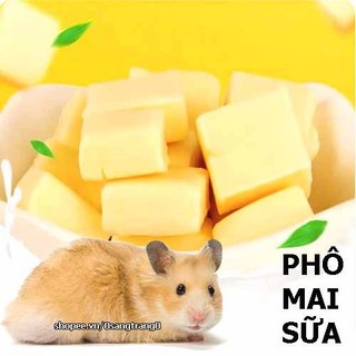 Phô Mai Sữa Cho Hamster-Rat-Đuôi Mập