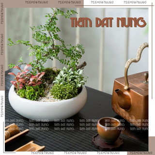  Chậu Ang Tròn Bo Nhiều Màu - Chậu gốm sứ trồng cây bonsai - Chậu sứ Bát Tràng | Tiệm Đất Nung 