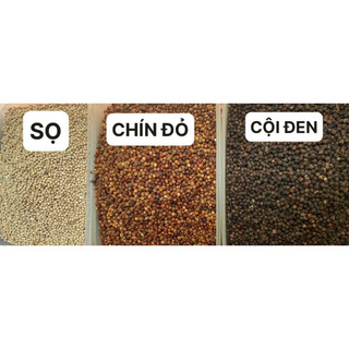 200gr/500gr tiêu sọ, tiêu chín đỏ, tiêu đen cội