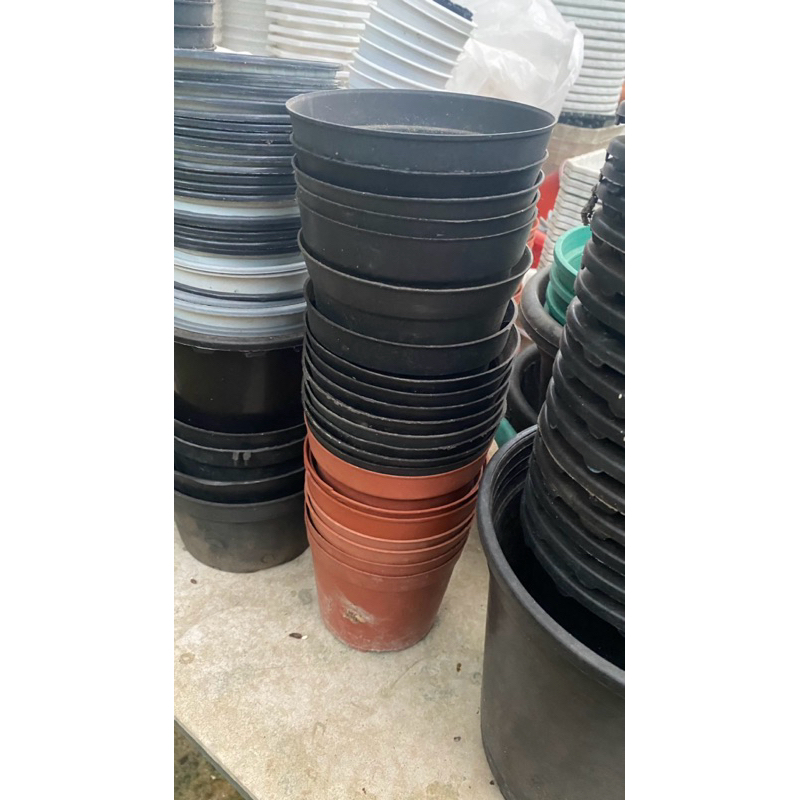 Chậu ươm nhựa đã qua sử dụng thanh lí 15c 10-12cm