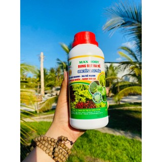 Max Root Bung đọt ra rễ chuyên rau màu