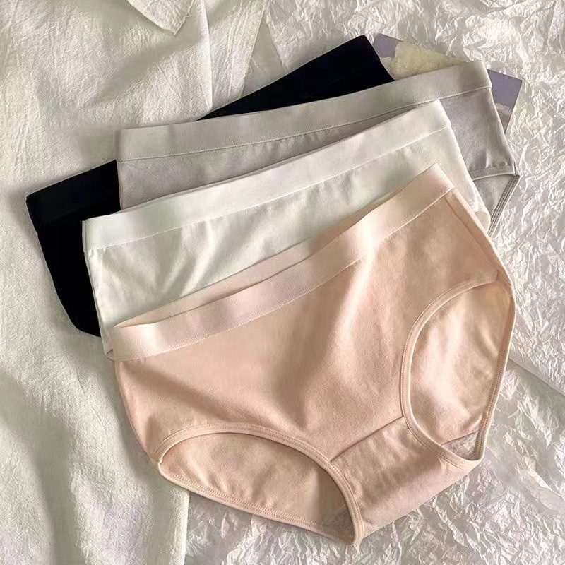 Set 5 Quần lót nữ cotton trơn thoáng khí Empress, Combo 5 Quần chip nữ co giãn kháng khuẩn 141 | BigBuy360 - bigbuy360.vn