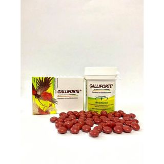Galliforte - dinh dưỡng nuôi đá tuần cuối cho gà