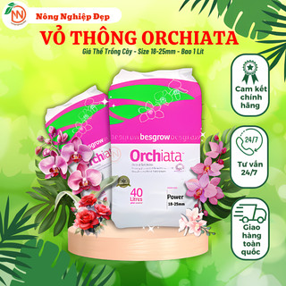 Vỏ thông orchiata - size 18-25mm - 1 lít