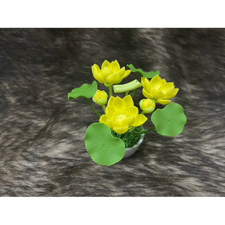 chậu hoa sen đất sét mini L