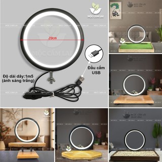 Đèn led tròn hào quang 20cm đèn led bonsai dùng trang trí tiểu cảnh, thác khói trầm hương