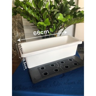 { 3 Cái } Máng Trồng Rau Thông Minh Dài Màu Trắng Loại 66x23,5