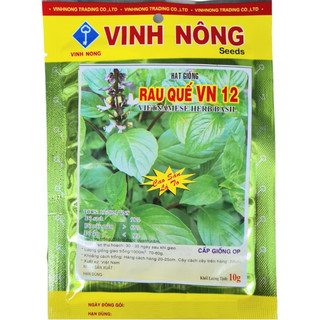 Rau Quế Lá To 10gr, Hạt Giống Rau Húng Quế