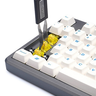 Dụng cụ tháo gắp keycap, switch đa năng 2in1 Key Puller bằng nhựa, keycap puller