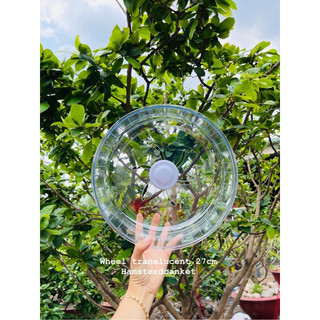 Wheel translucent trong suốt - vòng quay cho hamster vận động mika cao cấp