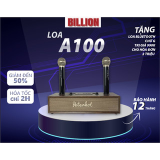 Loa Karaoke Bluetooth PETERHOT A100 cao cấp kèm 2 micro, công suất 20W bass trầm, thiết kế vỏ gỗ sang trọng .