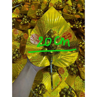 lá trầu cau