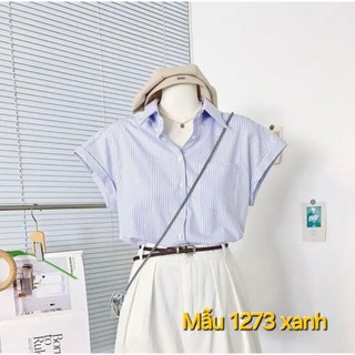 Sơ mi nữ ngắn tay sọc xanh vải mát bigsize đến 70kg