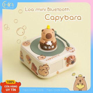 Loa Bluetooth Kapibara đĩa than không dây xoay Vintage Quà Tặng Sinh Nhật , Decor dễ thương