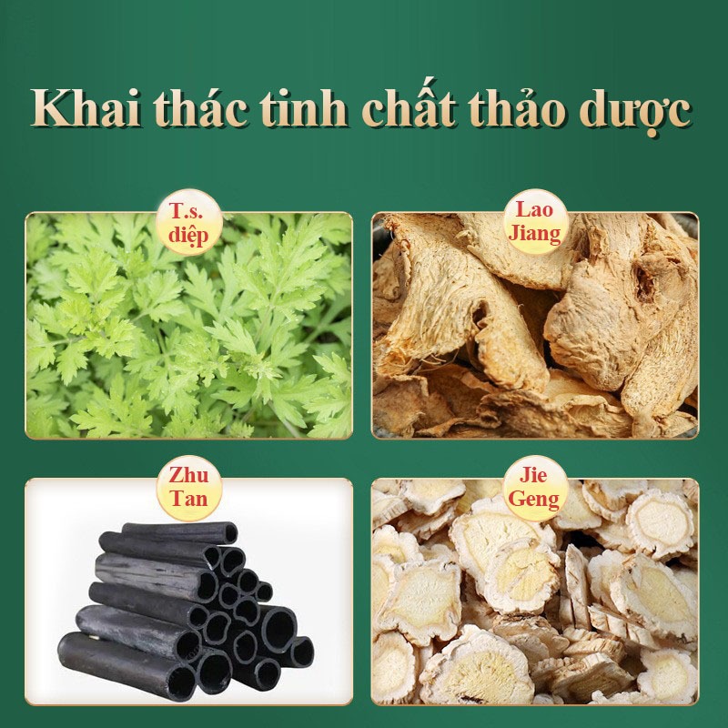 DBODHI Miếng Dán Chân Thảo Dược Miếng Dán Thải Độc Chân Ngải Giúp Thư Giãn Ngủ Ngon - Giảm Đau Mổi