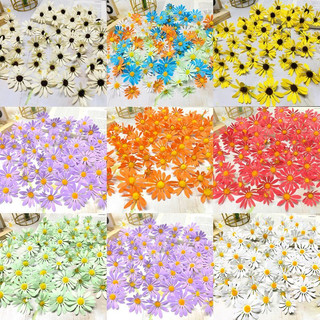 Phụ kiện sinh nhật 100 bông hoa cúc đủ size 3-4-5cm