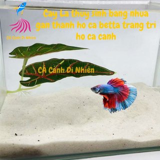 Cây LÁ thủy sinh HÍT thành hồ cá betta bằng nhựa tiểu cảnh trang trí hồ cá