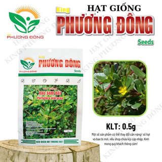 Hạt giống rau sam đất 0.5gr - mua 3 tặng 1 cùng loại
