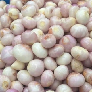 Hành Phi Nhà Làm 100% Củ Hành Sạch 100g
