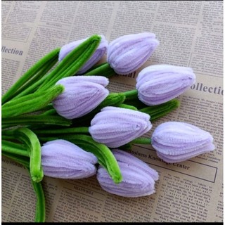 Cành hoa tulip kẽm nhung