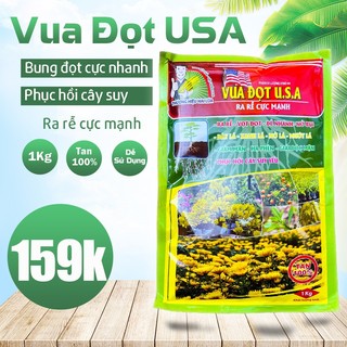 Phân bón vọt đọt kích rễ cực mạnh đâm tược bung chồi phục hồi cây