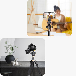 Đầu bi (Ballhead) cao cấp tháo lắp nhanh cho tripod