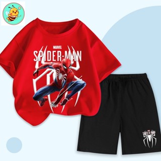 Bộ quần áo MARVEL SPIDER MAN cotton cho bé trai 10-35kg