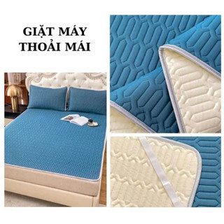 Chiếu điều hòa cao su non trơn màu,chiếu điều hòa tencel latex cao su non tặng kèm 2 vỏ gối