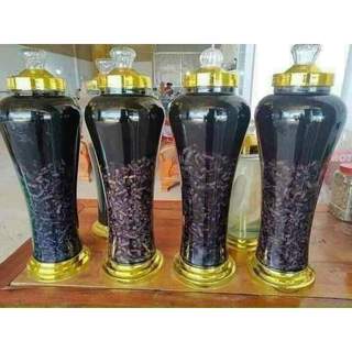 Cây giống ba kích tím
