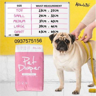 Tã bỉm dạng quần cho chó mèo Altimate Pet